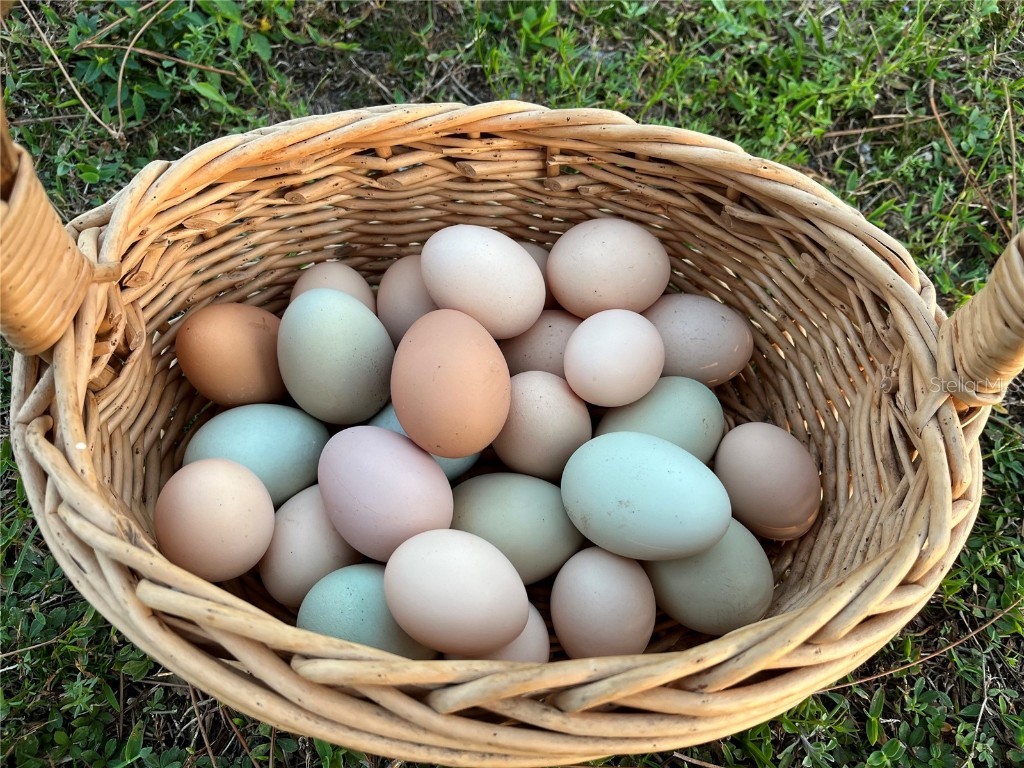 6570 Old Ranch Road Sarasota FL 34241 A4670782 image40