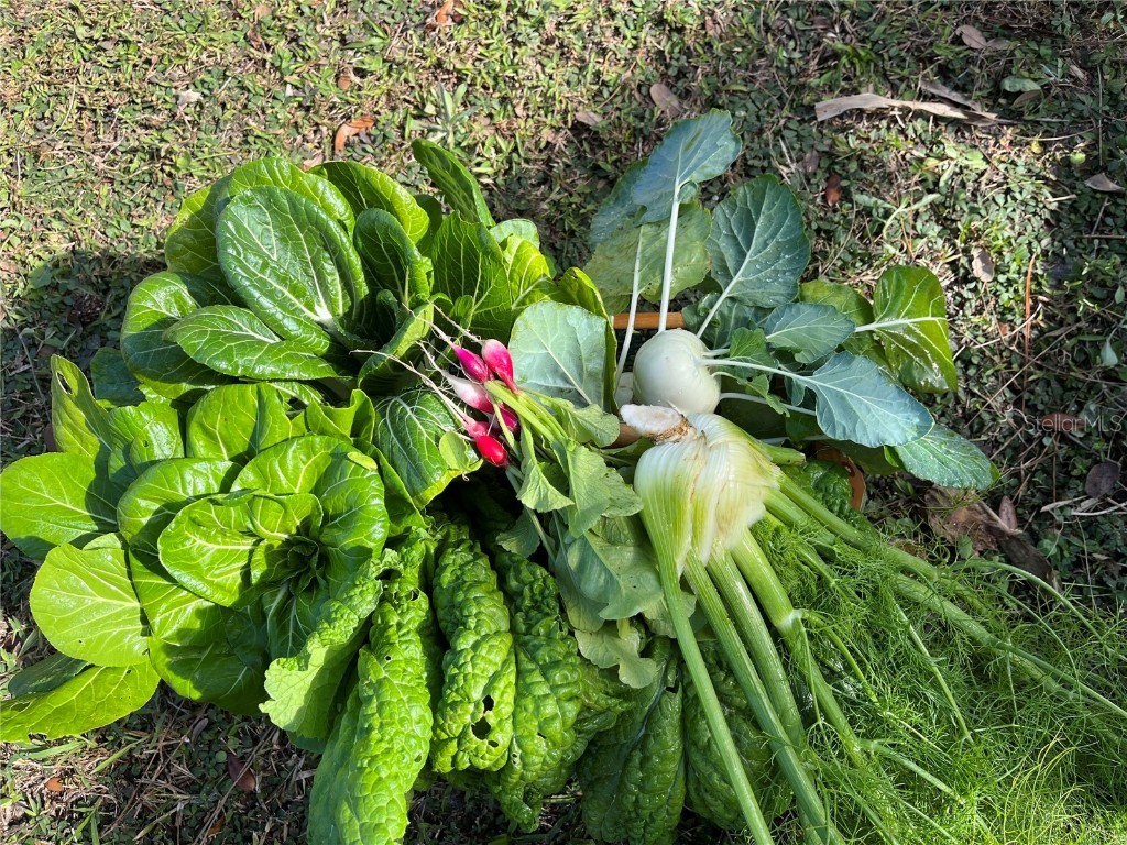 6570 Old Ranch Road Sarasota FL 34241 A4670782 image43