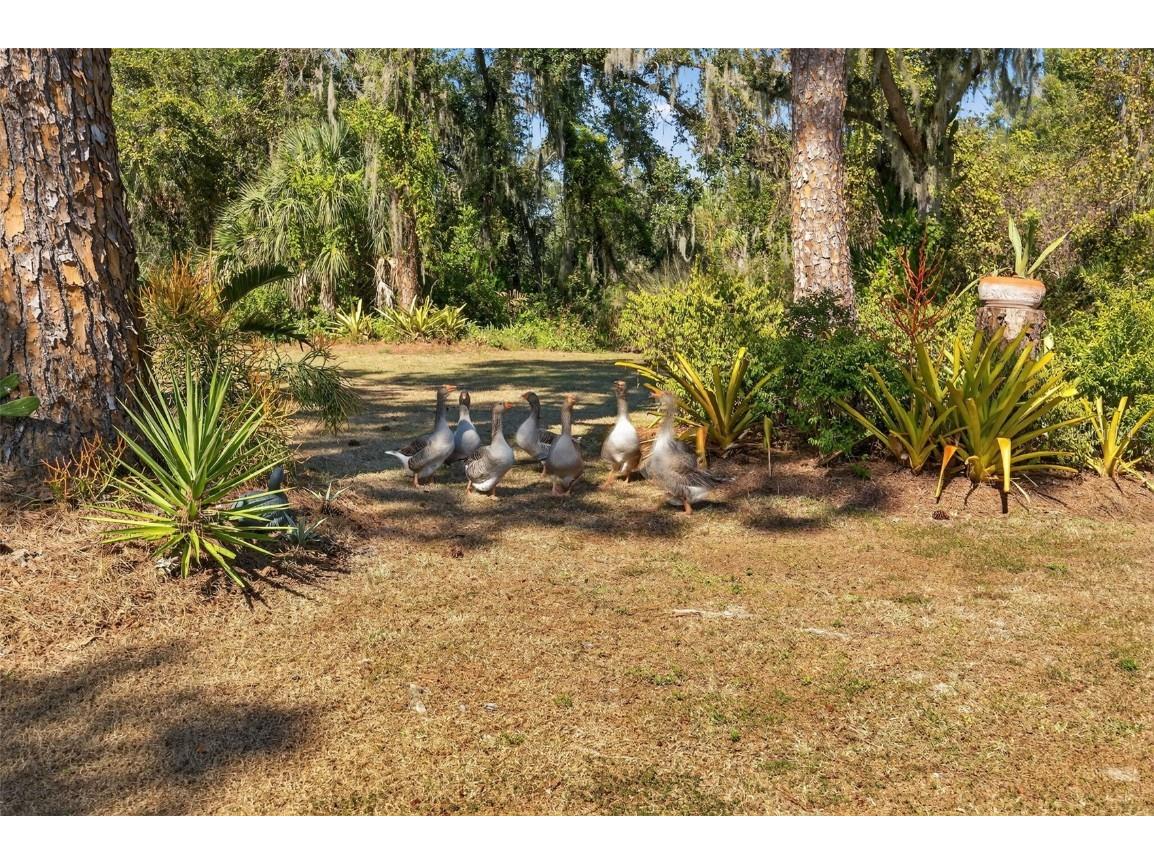 6570 Old Ranch Road Sarasota FL 34241 A4670782 image56