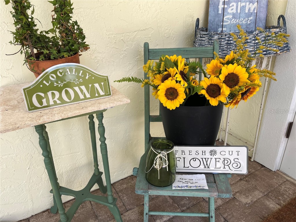 6570 Old Ranch Road Sarasota FL 34241 A4670782 image57