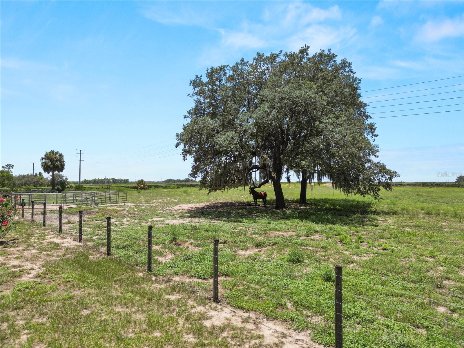 6570 Water Tank Road E Haines City FL 33844 L4963466 image82