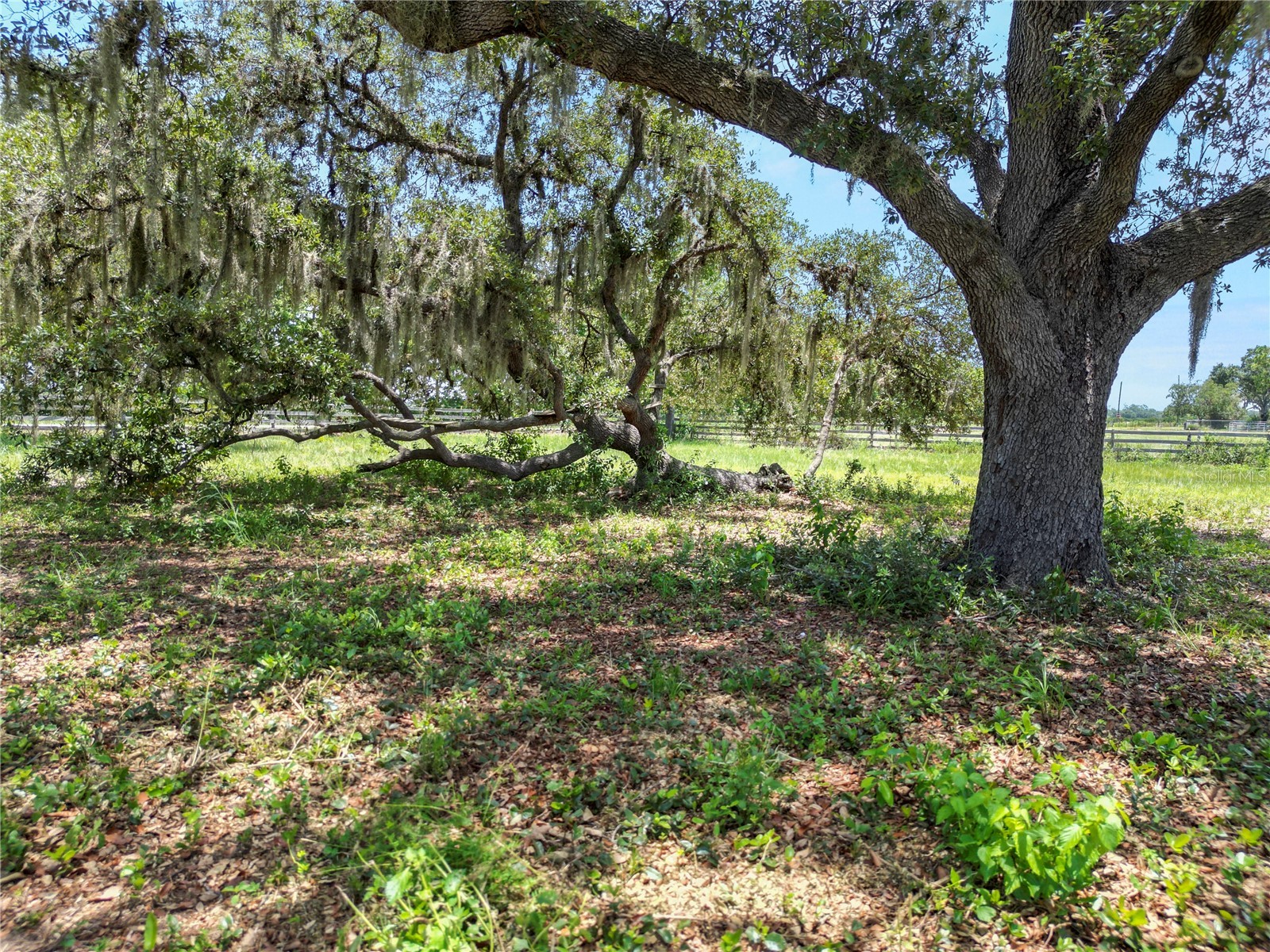 6570 Water Tank Road E Haines City FL 33844 L4963466 image84