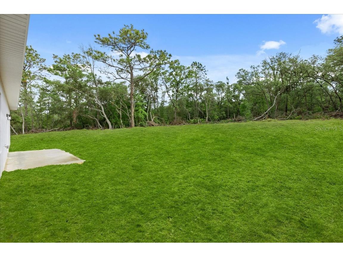 6571 N Bedstrow Boulevard Dunnellon FL 34434 O6304672 image33