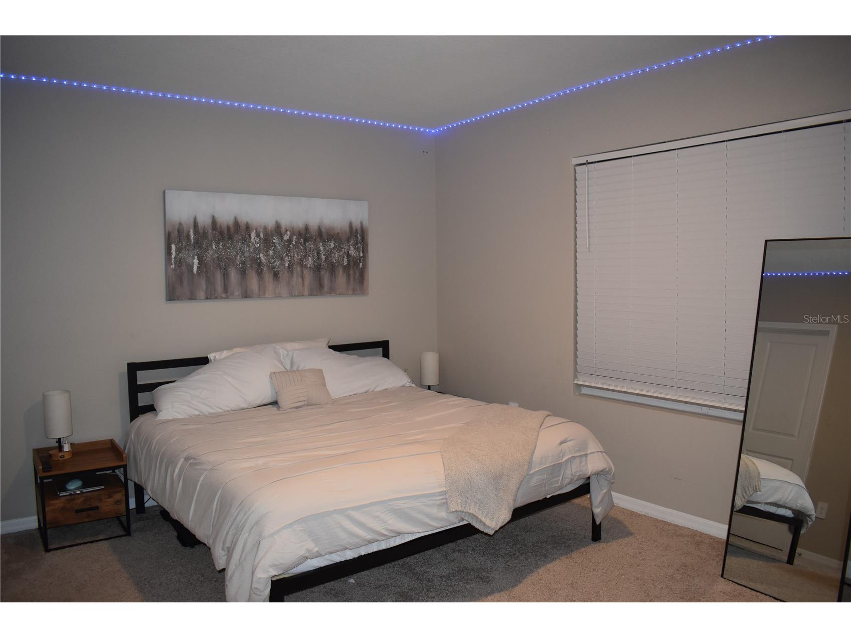 6572 Serenity Fall Lane Sarasota FL 34240 TB8530606 image18