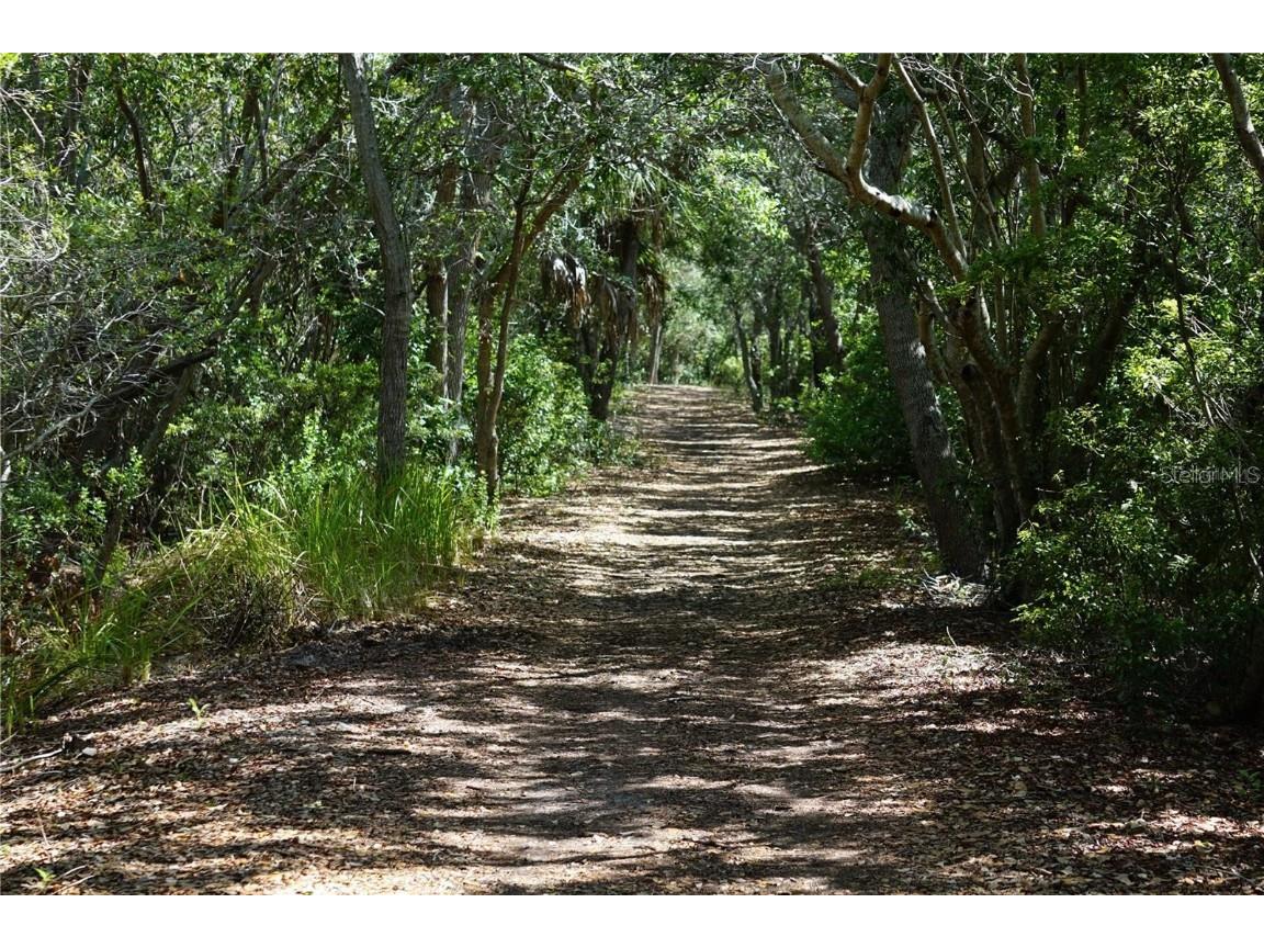 6575 99th Way N #22201 Saint Petersburg FL 33708 - LONG BAYOU TB8429410 image42