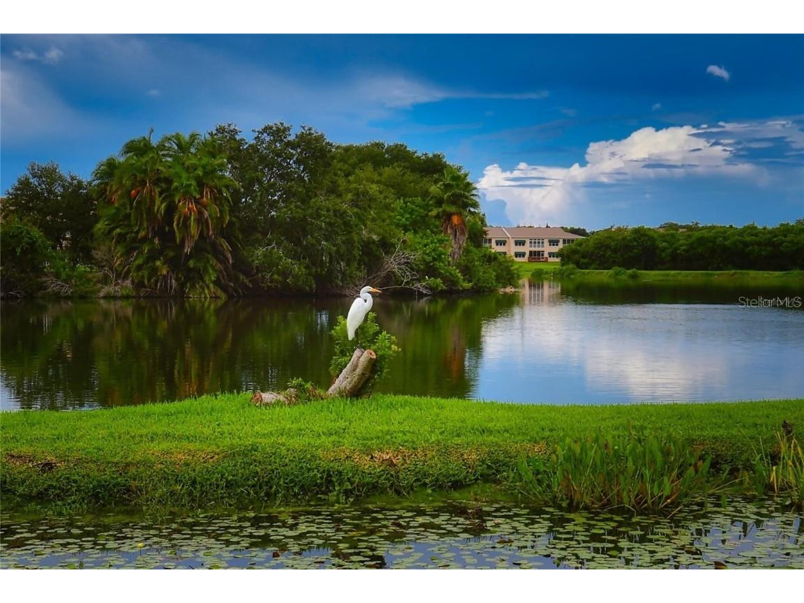 6575 99th Way N #22201 Saint Petersburg FL 33708 - LONG BAYOU TB8429410 image43