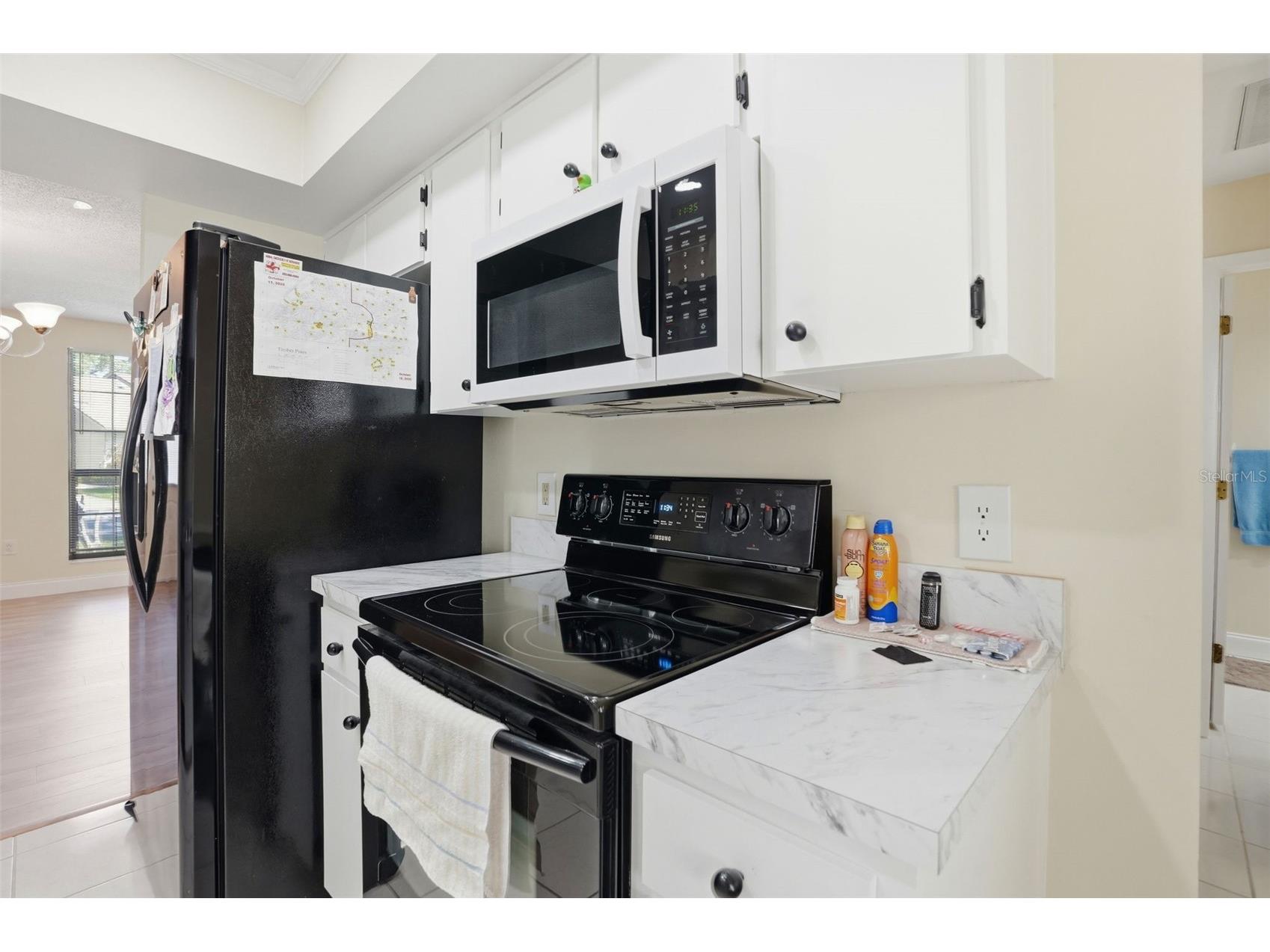 6575 Brambleleaf Drive Spring Hill FL 34606 W7884342 image19