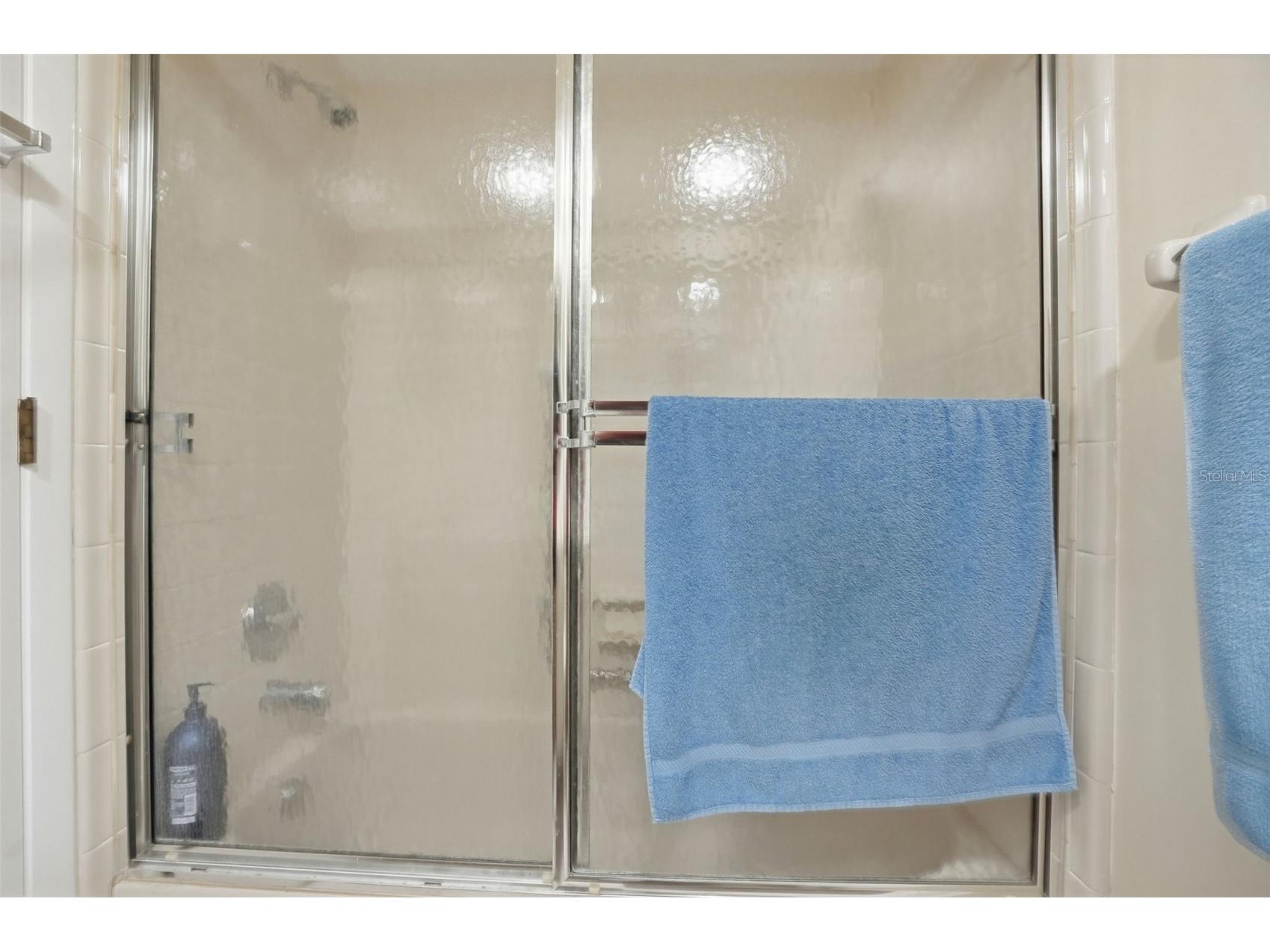 6575 Brambleleaf Drive Spring Hill FL 34606 W7884342 image27