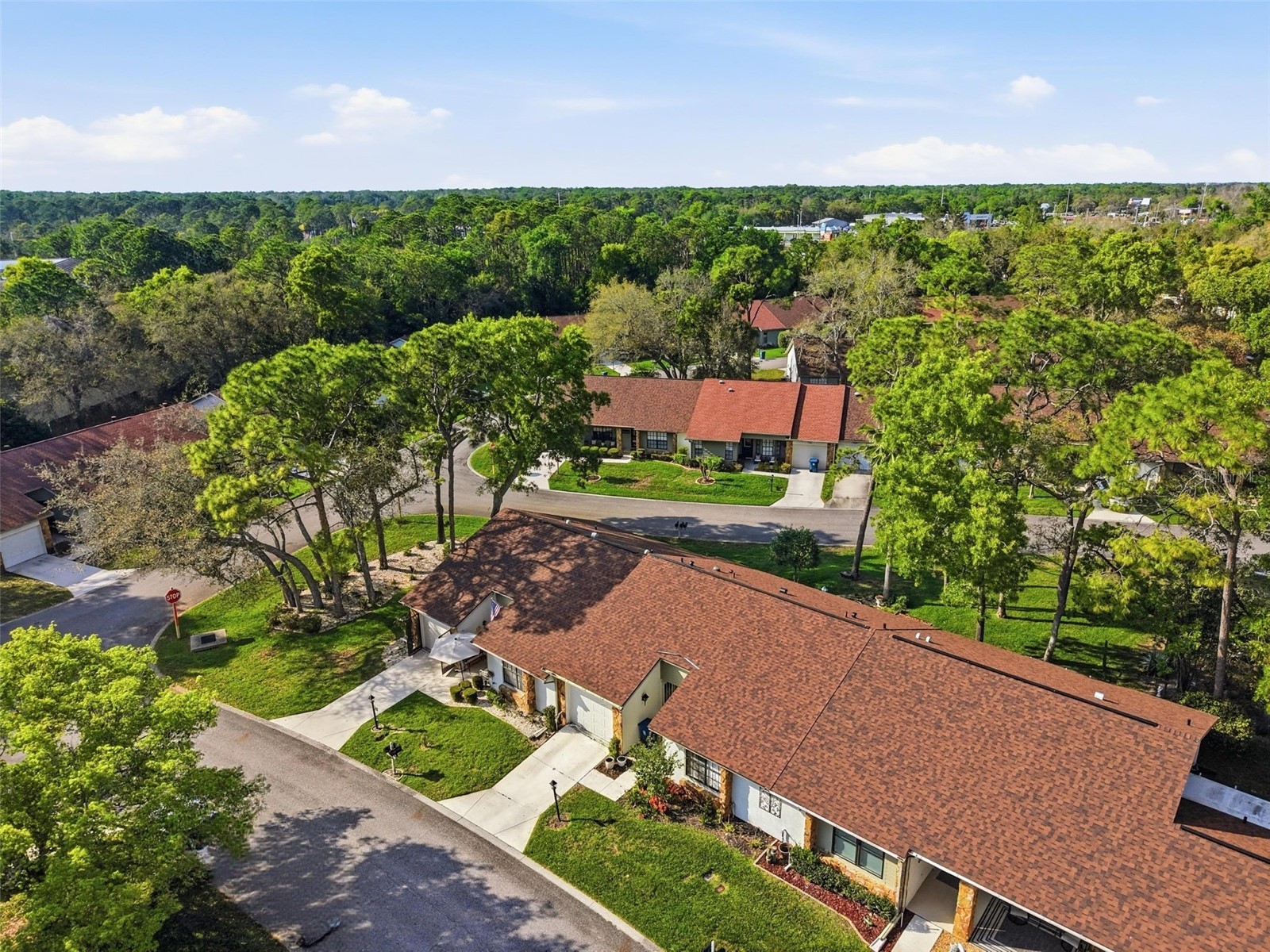 6575 Brambleleaf Drive Spring Hill FL 34606 W7884342 image29