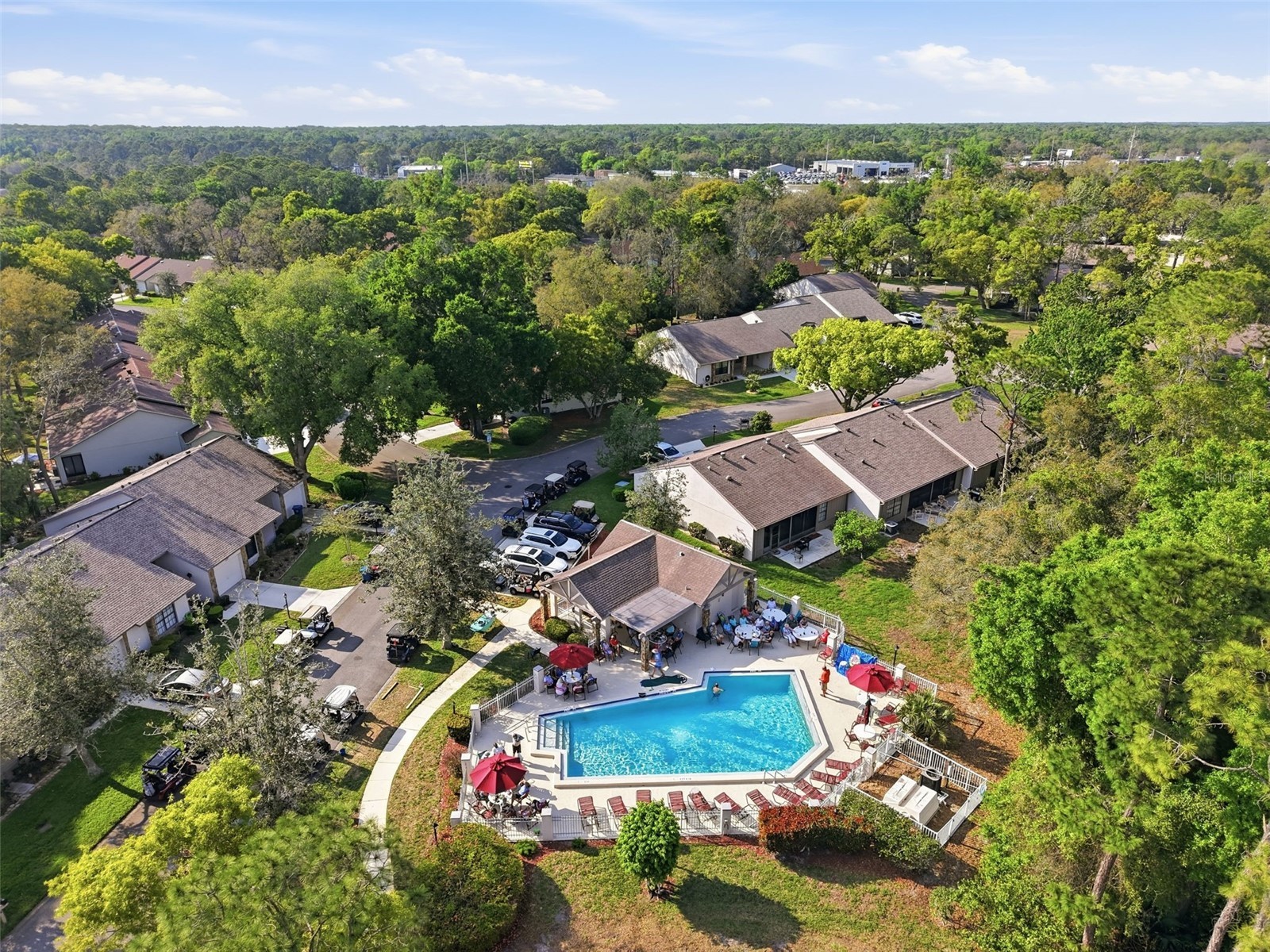 6575 Brambleleaf Drive Spring Hill FL 34606 W7884342 image33