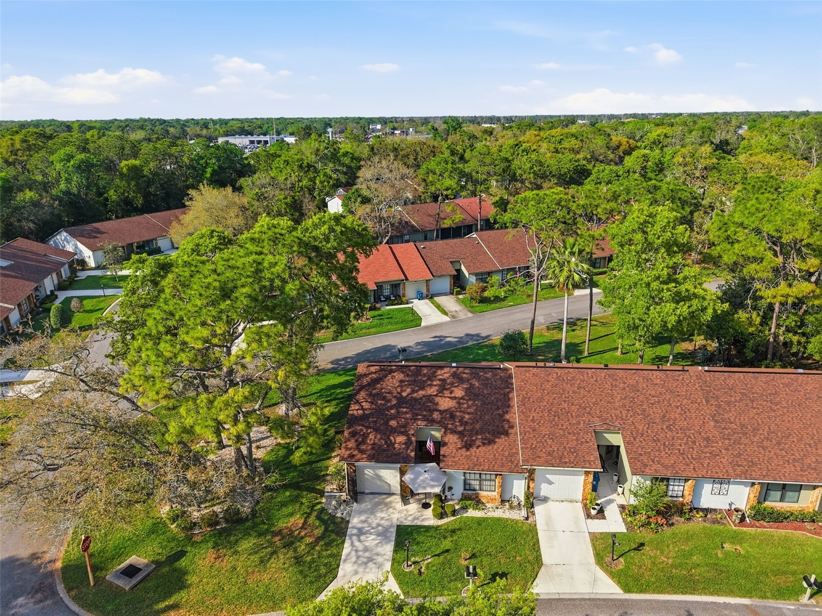 6575 Brambleleaf Drive Spring Hill FL 34606 W7884342 image34