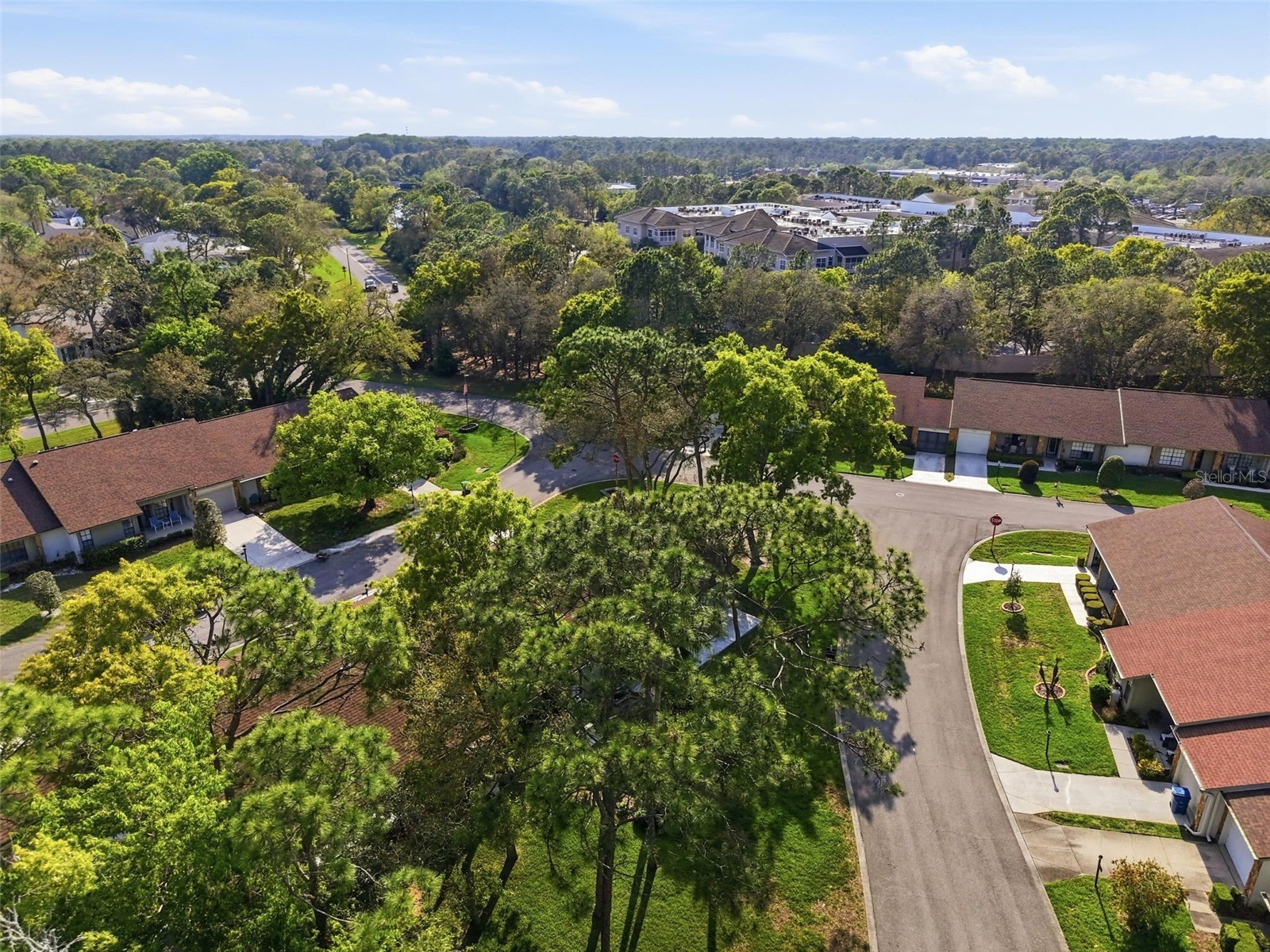 6575 Brambleleaf Drive Spring Hill FL 34606 W7884342 image35