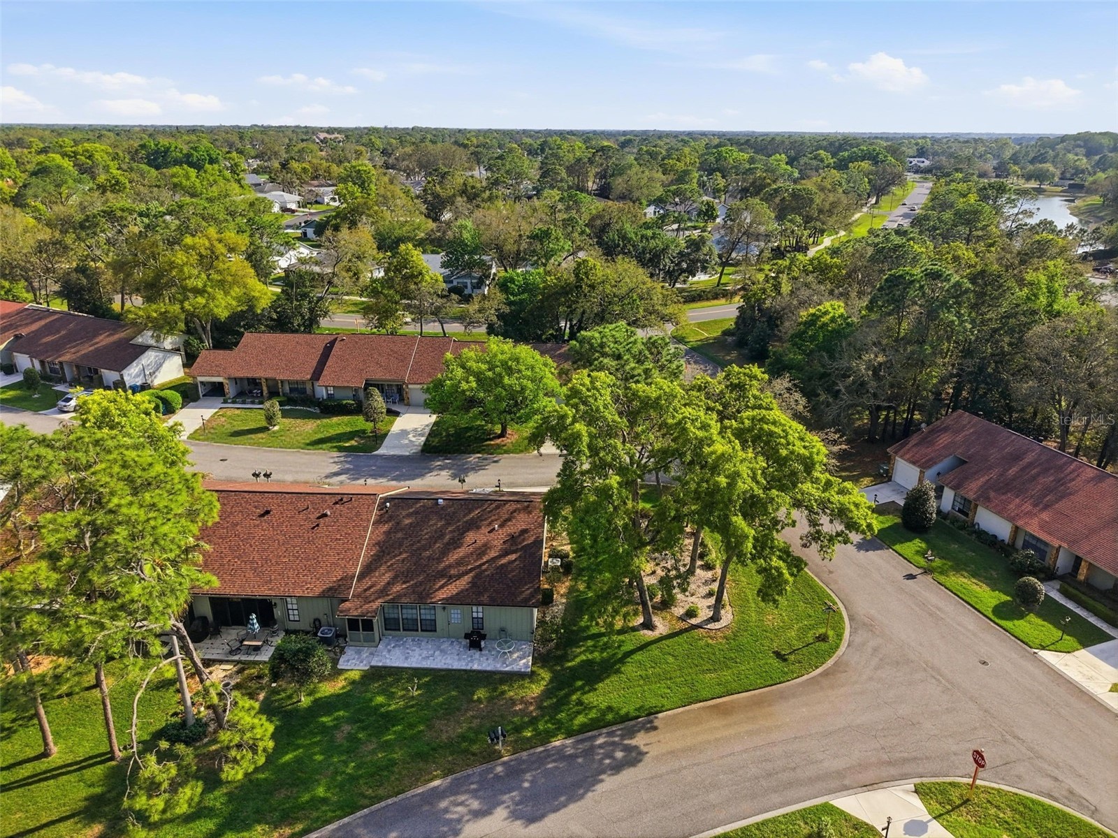 6575 Brambleleaf Drive Spring Hill FL 34606 W7884342 image36