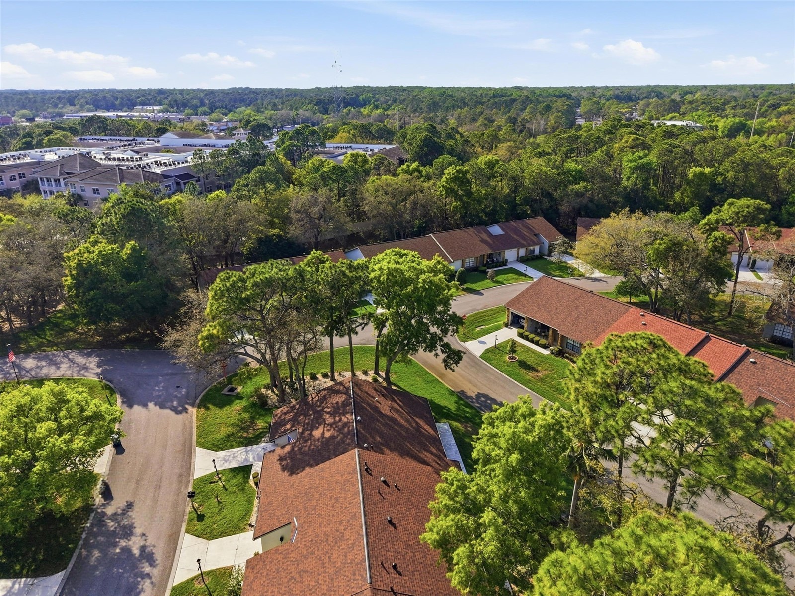 6575 Brambleleaf Drive Spring Hill FL 34606 W7884342 image37