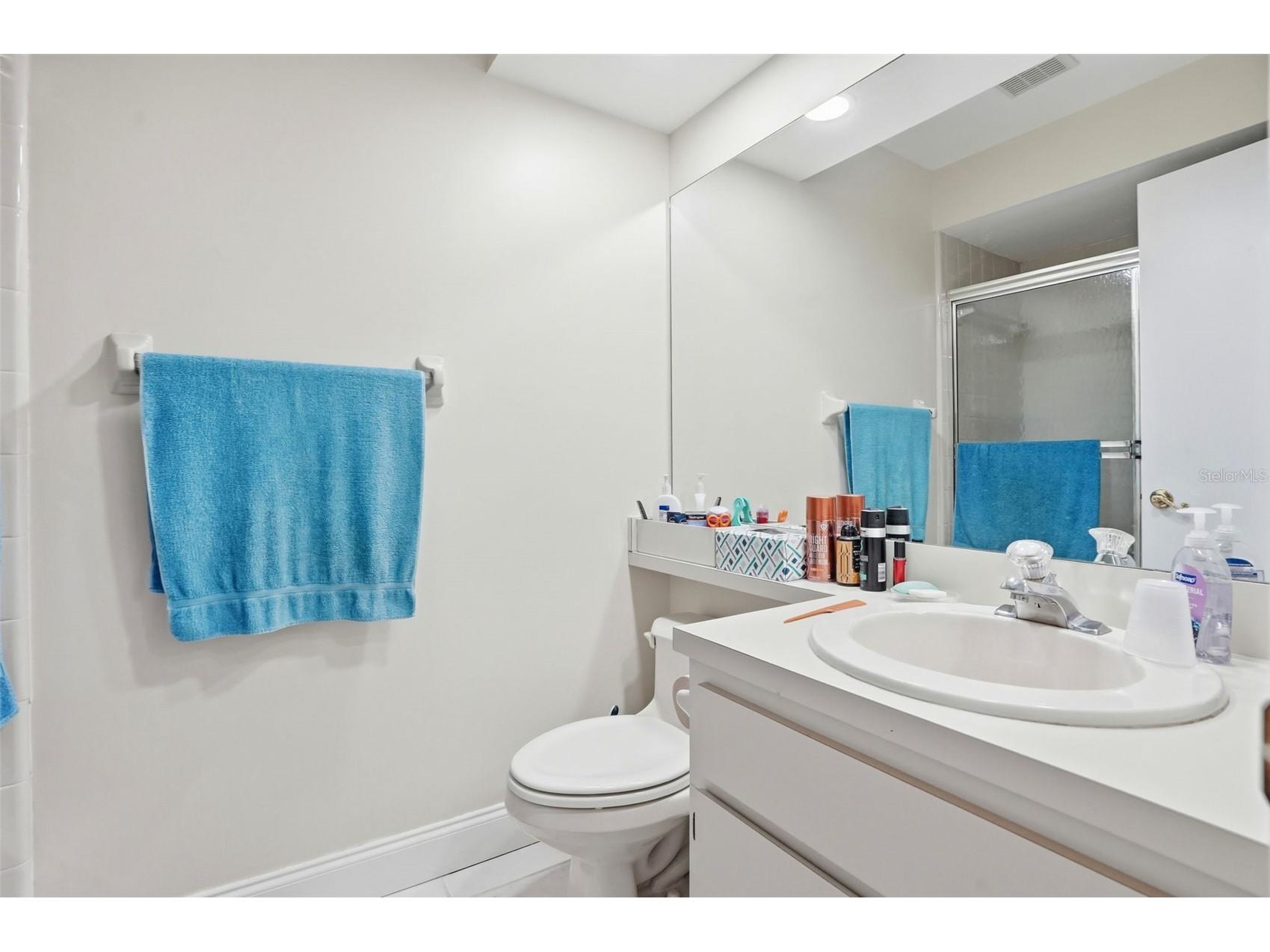 6575 Brambleleaf Drive Spring Hill FL 34606 W7884342 image8