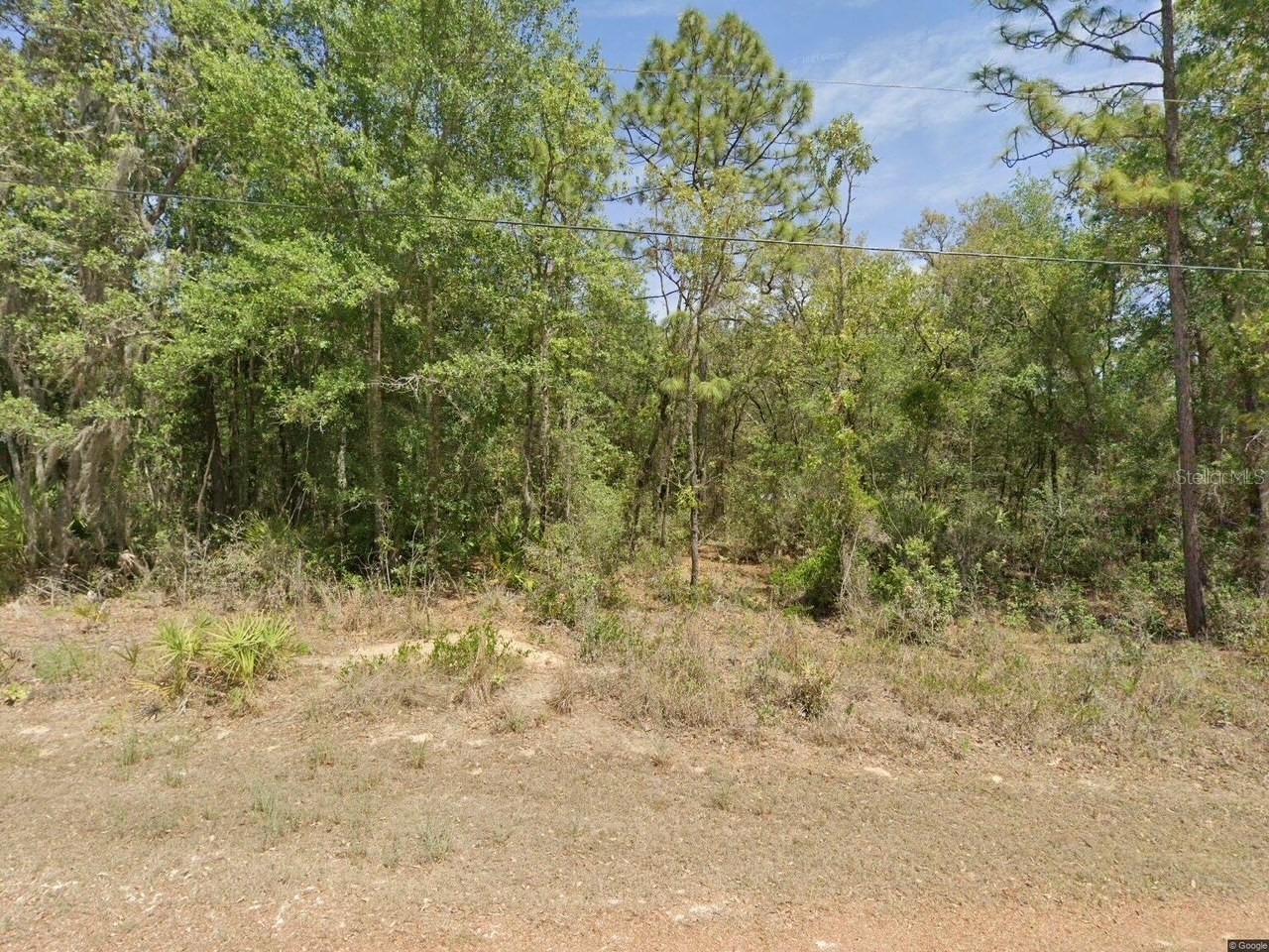 6575 W Pershing Drive Homosassa FL 34448 W7886374 image1