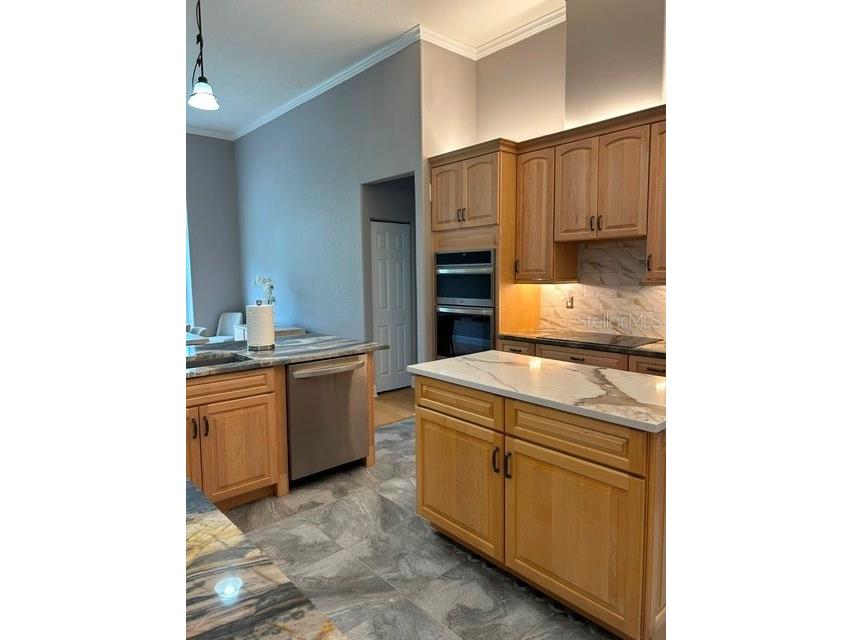 6577 Sw 111th Loop Ocala FL 34476 OM727284 image27
