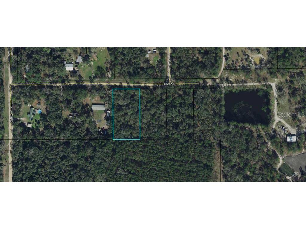 6579 Fruit Avenue Bunnell FL 32110 FC274436 image2