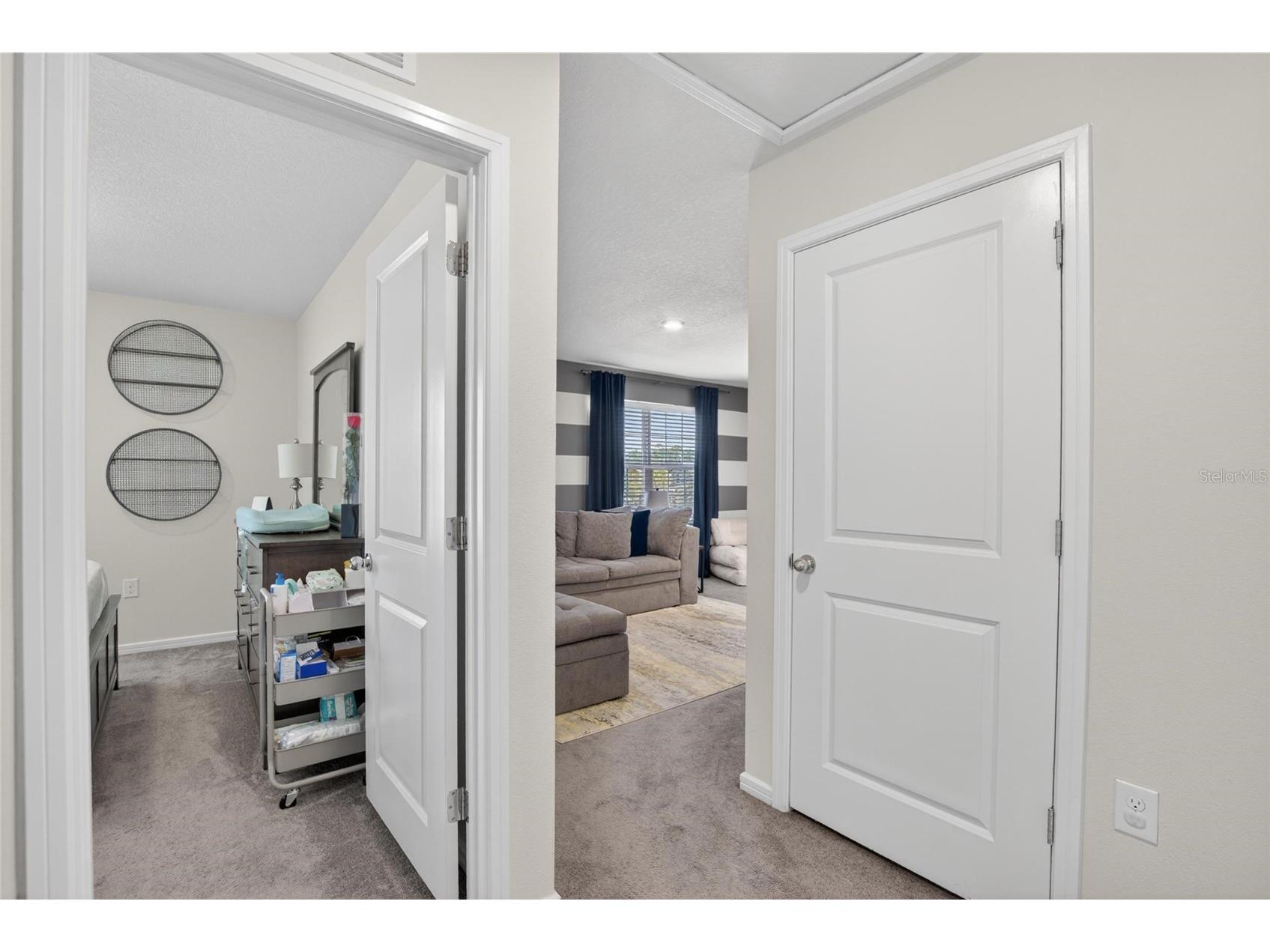 6579 Ryestone Way Wesley Chapel FL 33545 TB8511269 image36