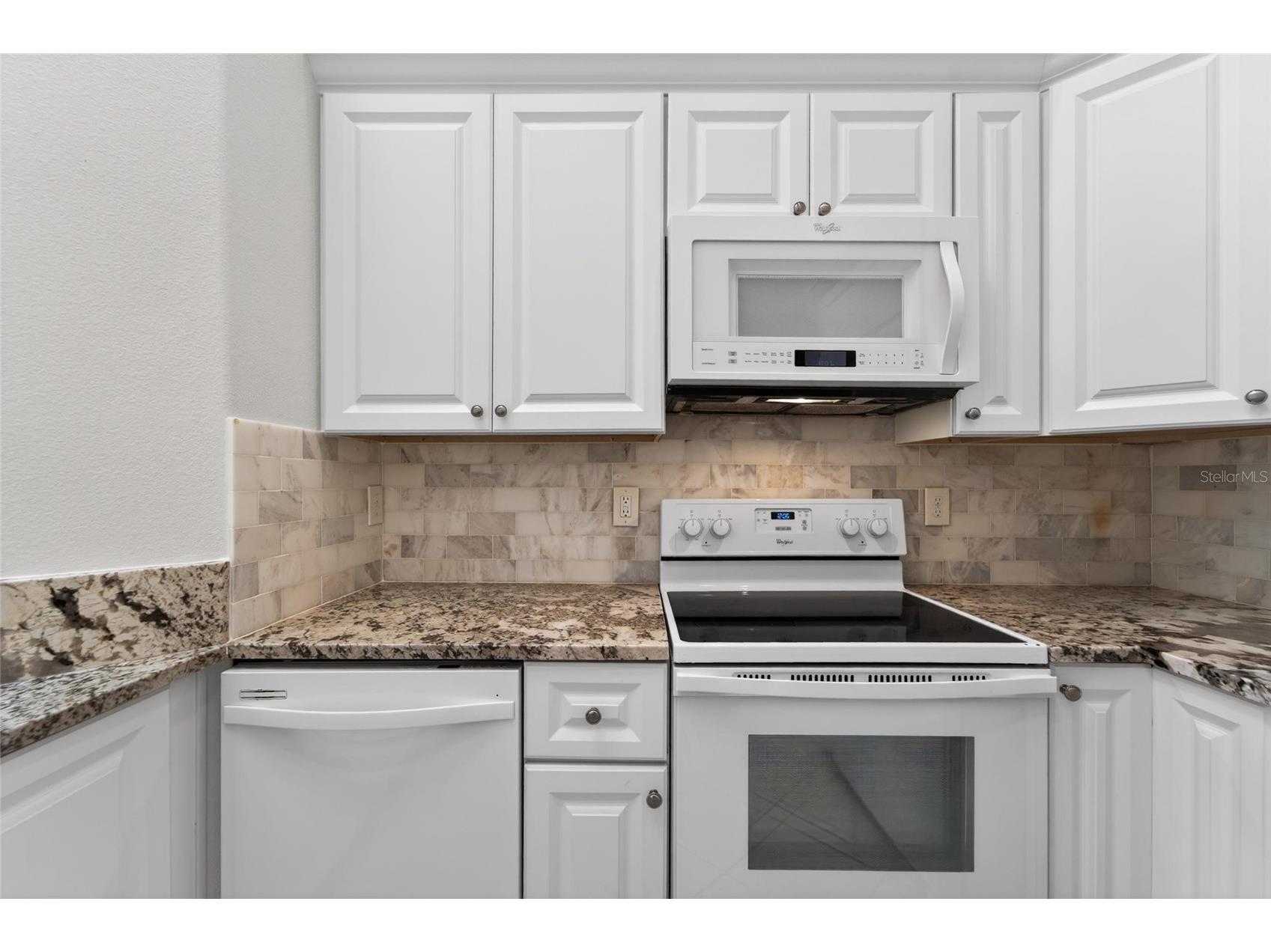 658 Green Valley Road #B3 Palm Harbor FL 34683 TB8499137 image27
