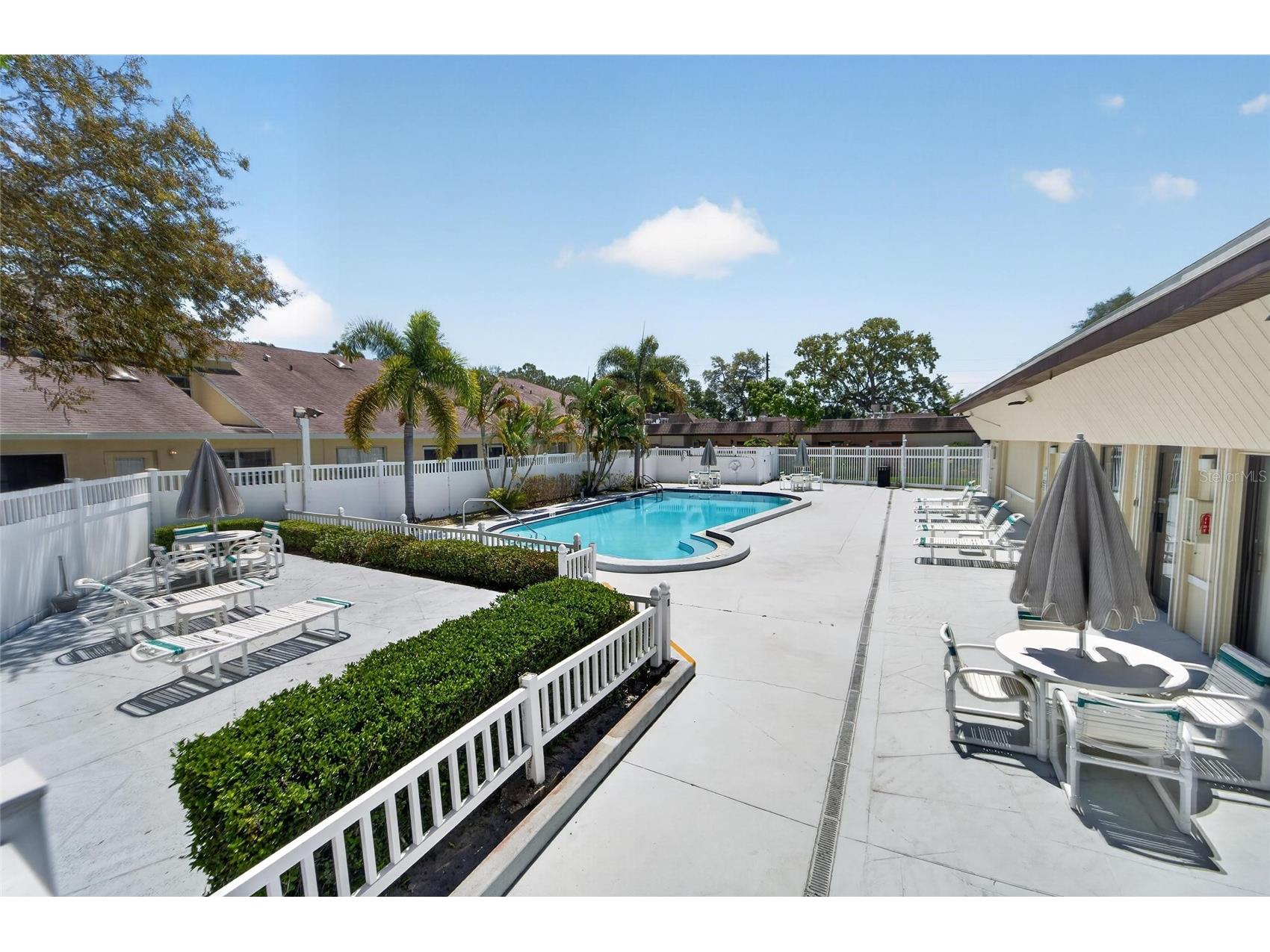 658 Green Valley Road #B3 Palm Harbor FL 34683 TB8499137 image9