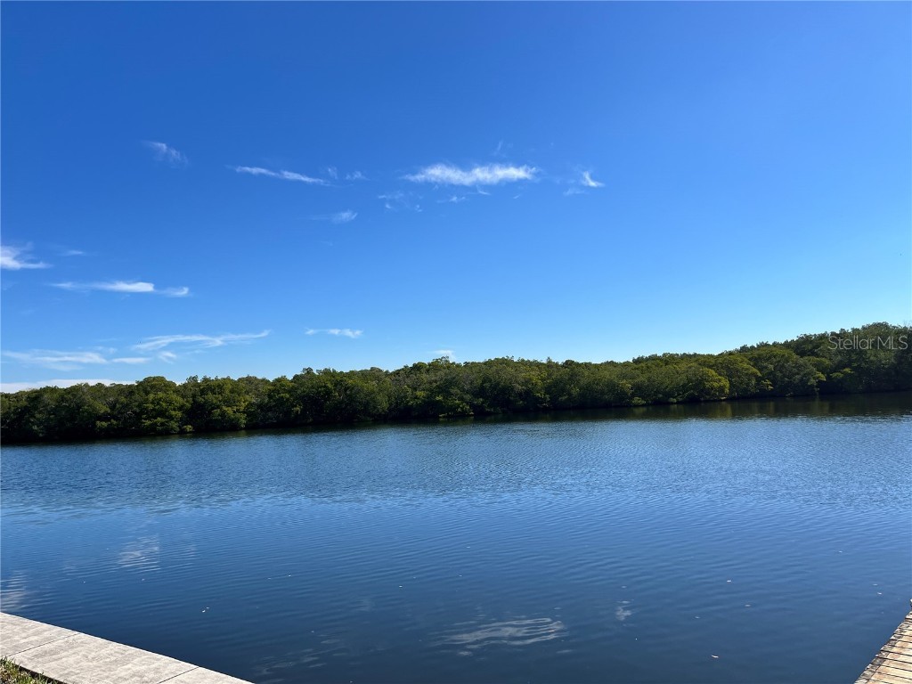 658 Mount Oak Avenue NE #730 Saint Petersburg FL 33702 U8229950 image1