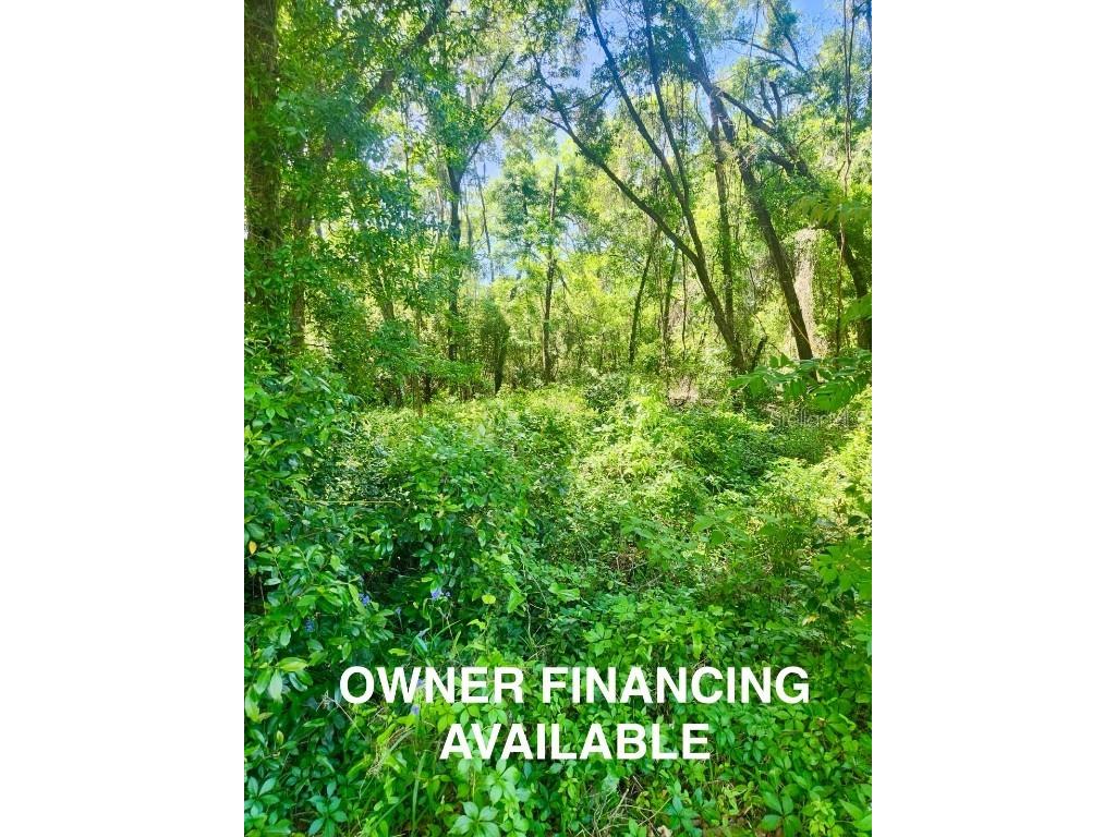 658 N Wheeler Avenue Inverness FL 34453 U8238234 image1