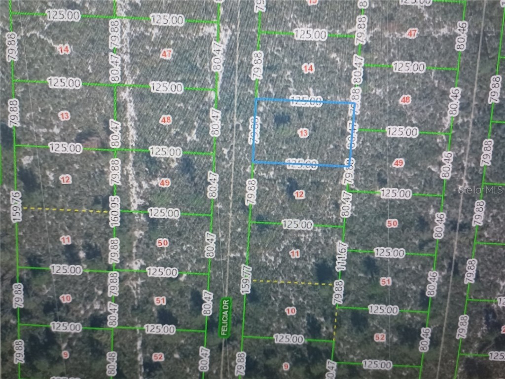 6580 Felicia Drive Sebring FL 33872 O6133457 image1