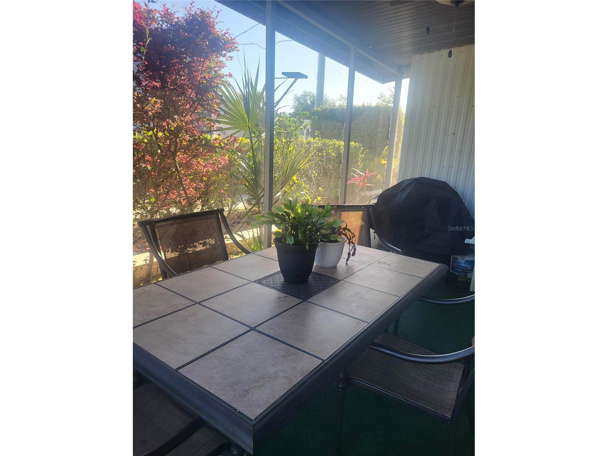 6580 Seminole Boulevard #733 Seminole FL 33772 TB8504513 image11