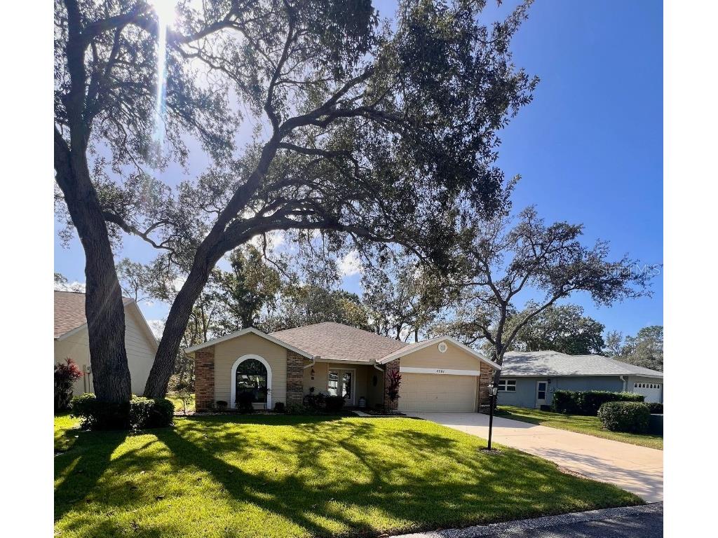 6581 Pine Meadows Drive Spring Hill FL 34606 TB8316399 image1