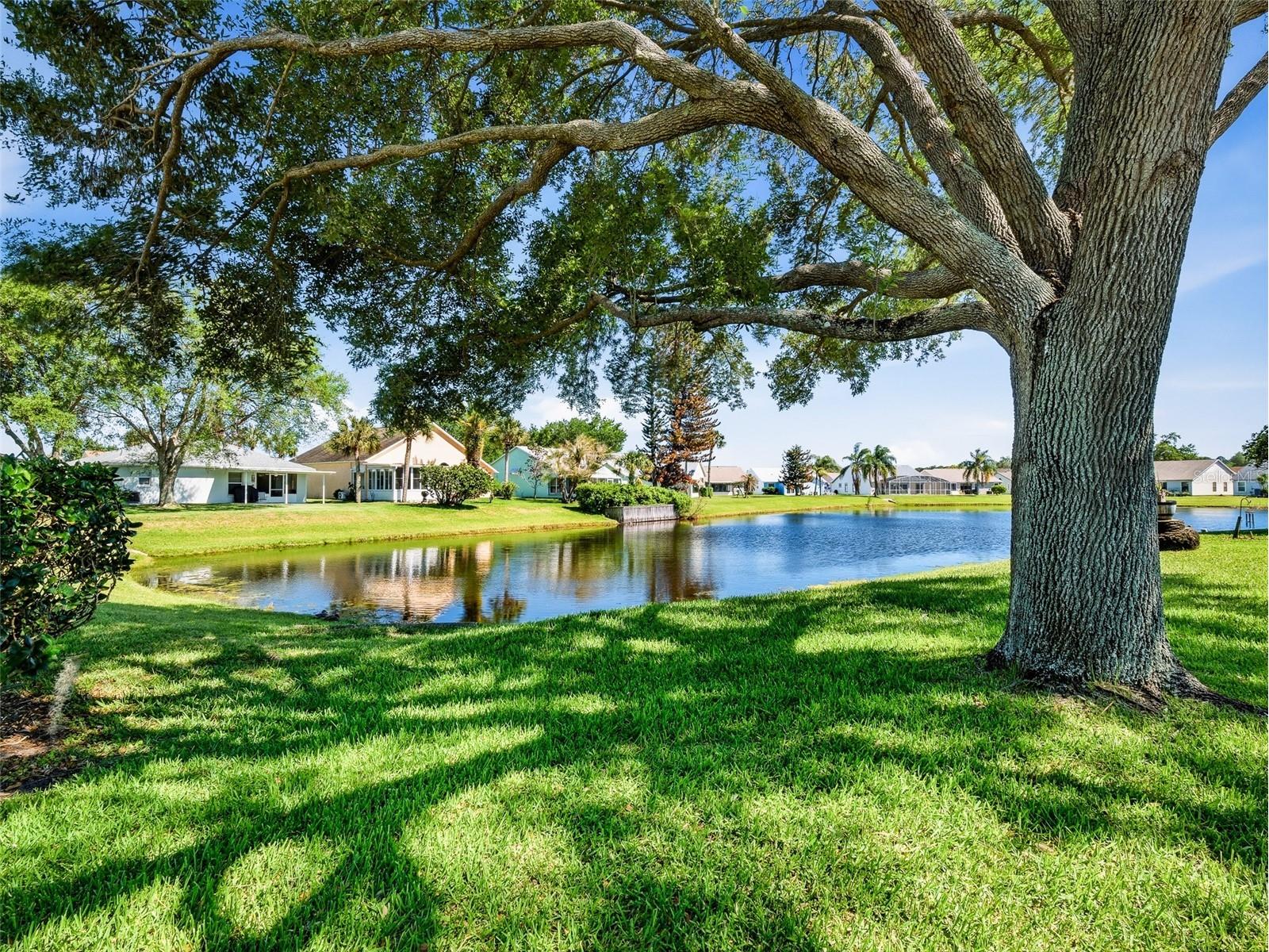 659 Wellesley Court New Smyrna Beach FL 32168 NS1087971 image46
