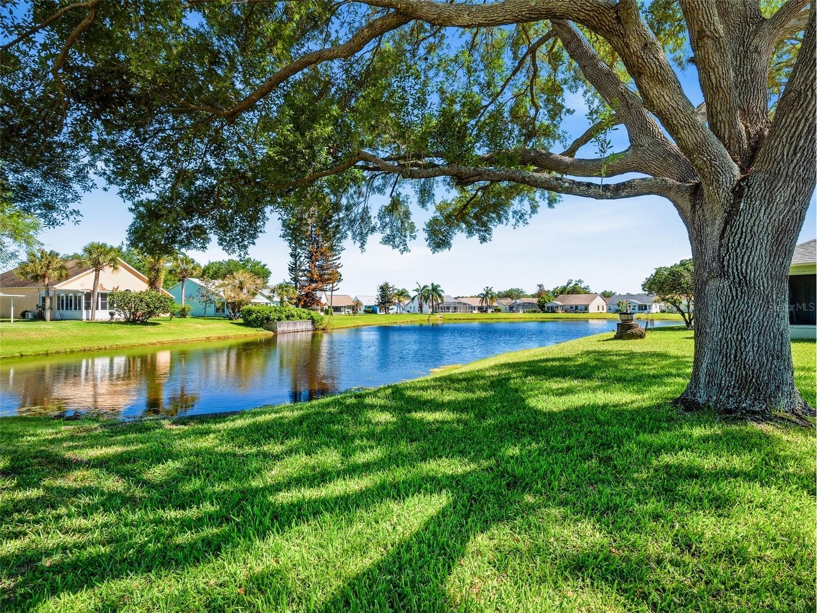 659 Wellesley Court New Smyrna Beach FL 32168 NS1087971 image5