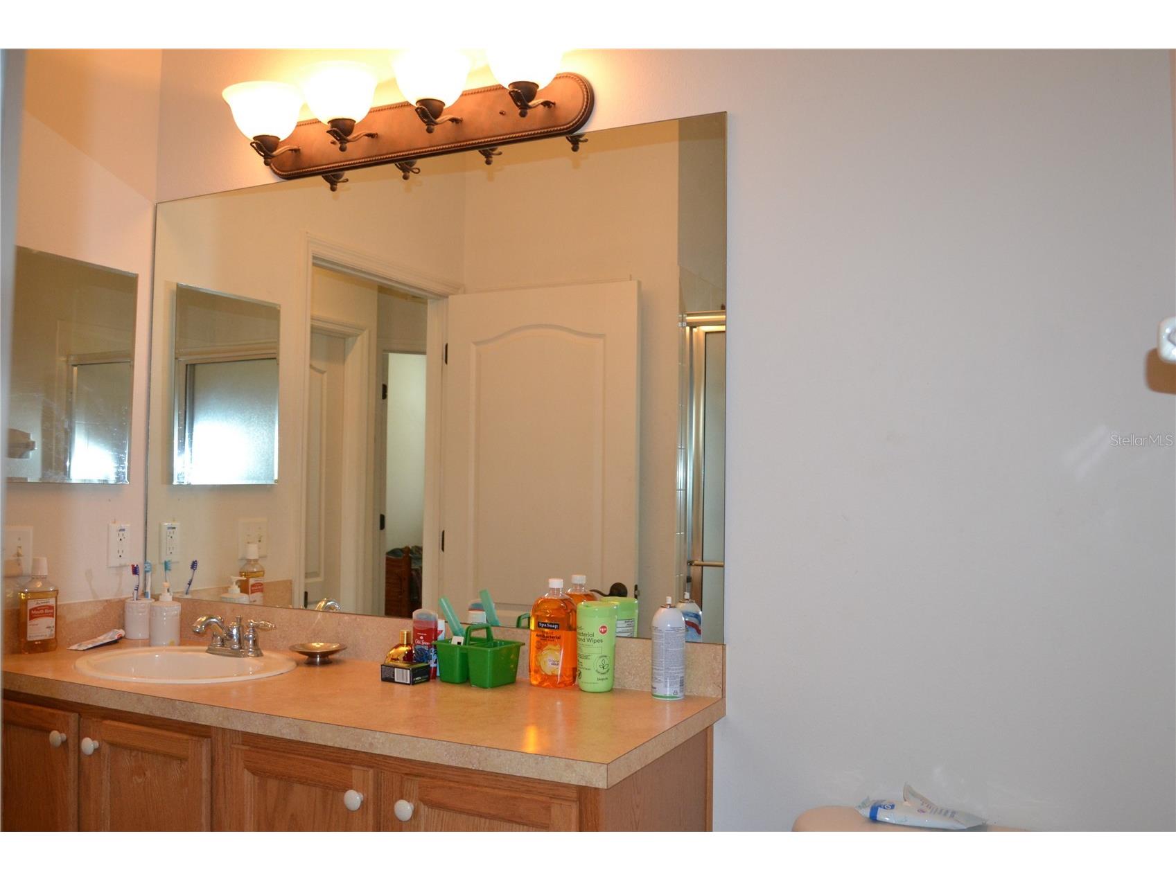 659 Winthrop Drive Spring Hill FL 34609 W7887213 image39