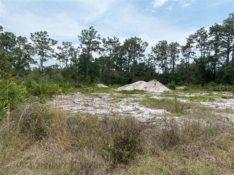 6591 Deland Avenue Indian Lake Estates FL 33855 O6343682 image3