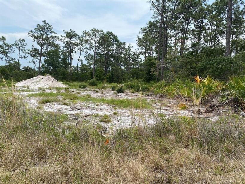 6591 Deland Avenue Indian Lake Estates FL 33855 O6343682 image4