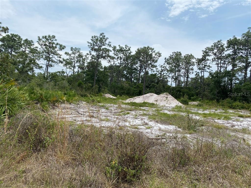 6591 Deland Avenue Indian Lake Estates FL 33855 O6343682 image7