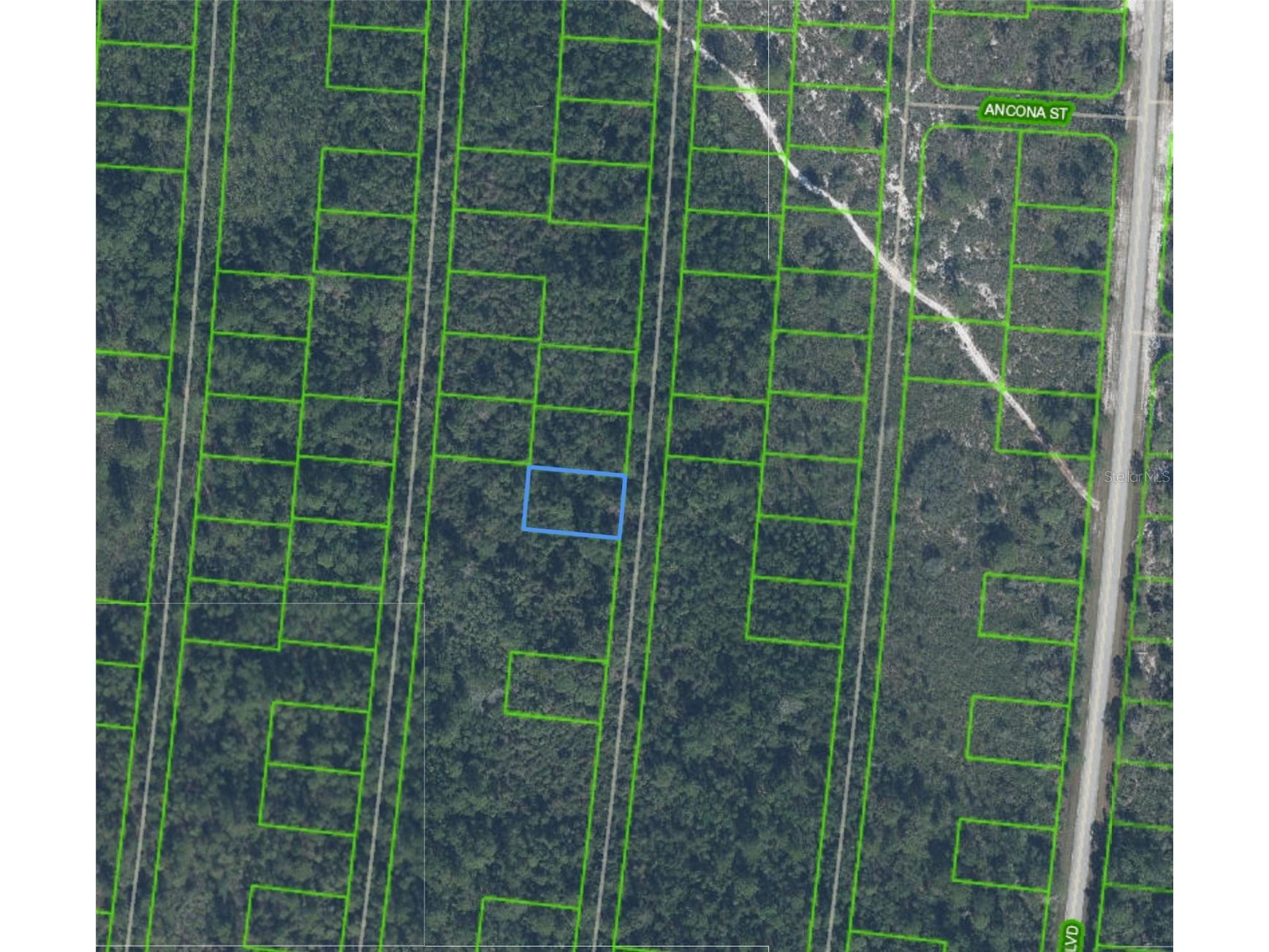 6593 Palancia Drive Sebring FL 33872 P4938547 image2