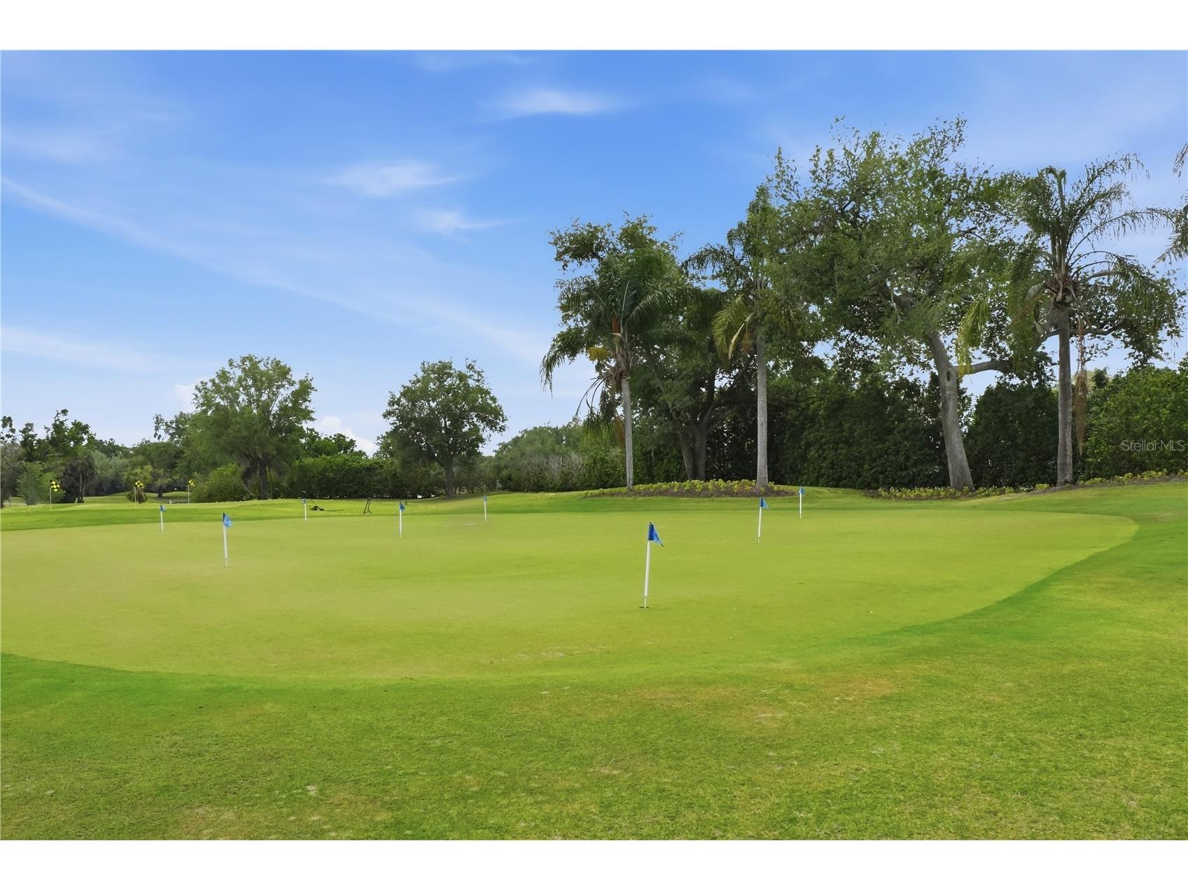6594 Fairway Gardens Drive #6594 Bradenton FL 34203 A4694777 image32