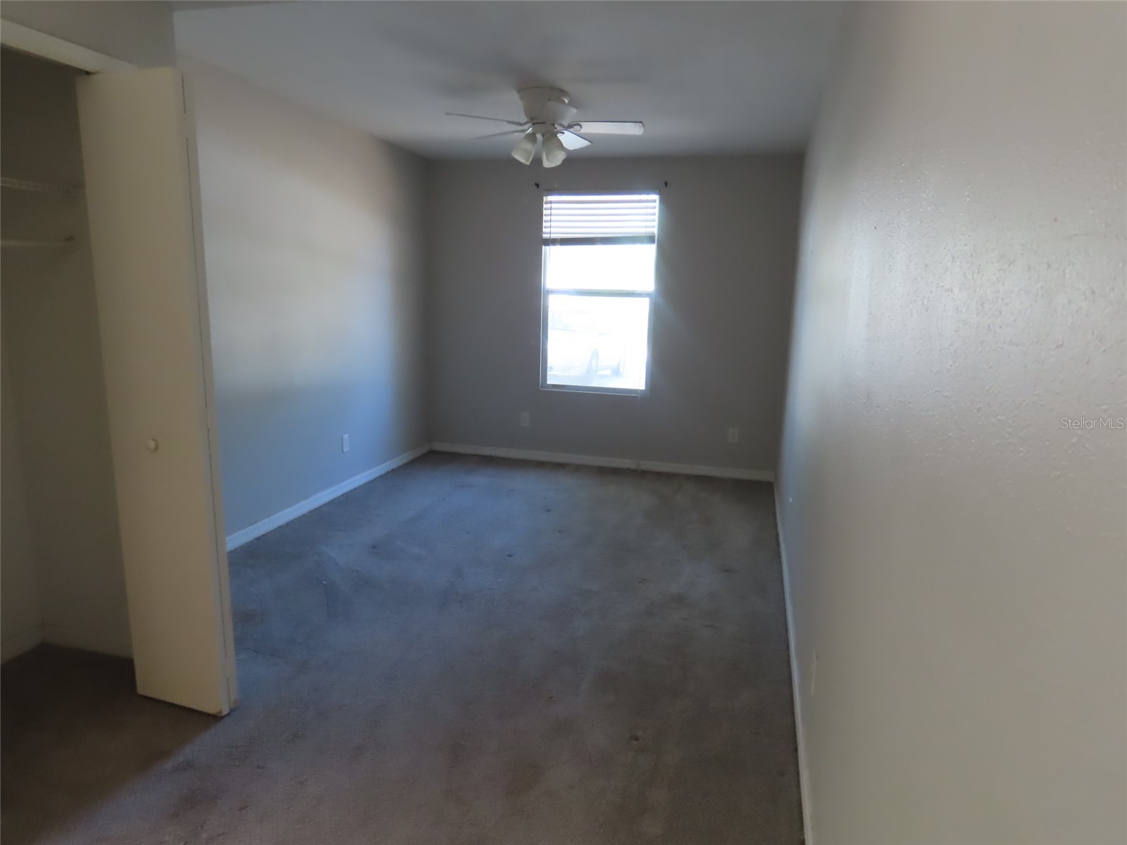 6595 64th Way N Pinellas Park FL 33781 TB8501756 image15