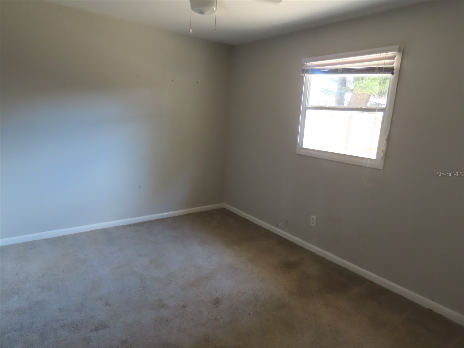 6595 64th Way N Pinellas Park FL 33781 TB8501756 image19