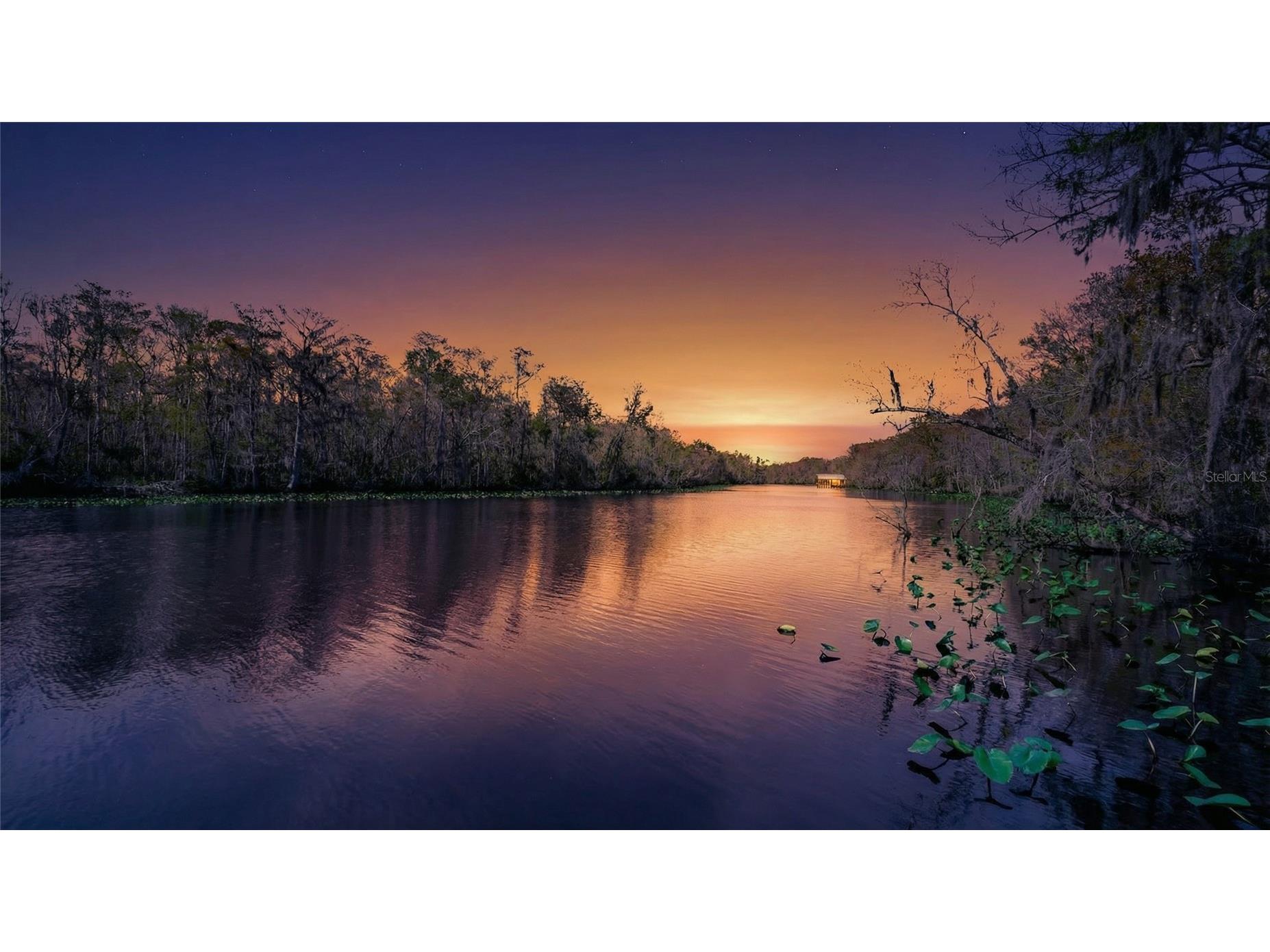 6595 Collier Road Saint Augustine FL 32092 V4947602 image1