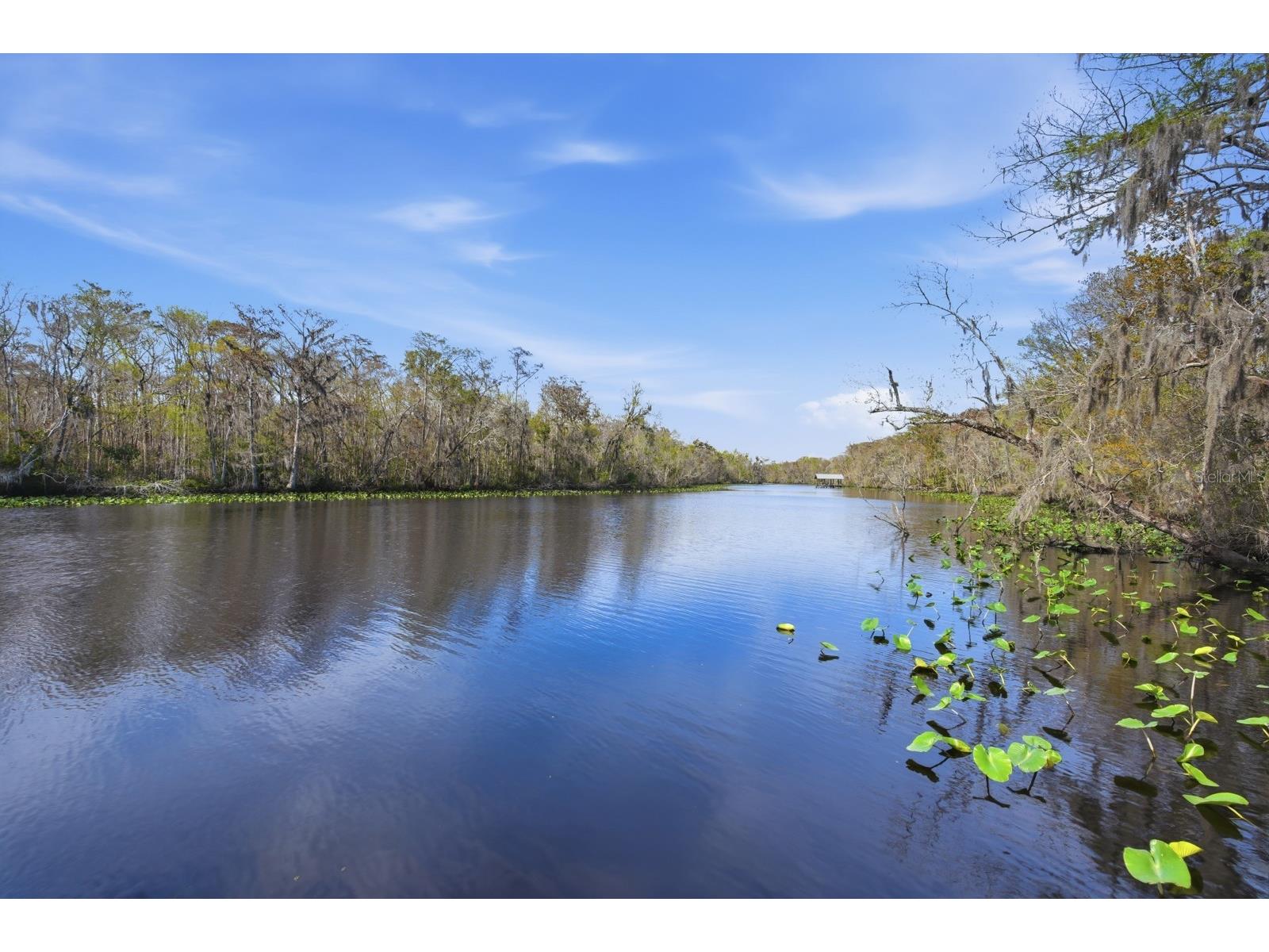 6595 Collier Road Saint Augustine FL 32092 V4947602 image88