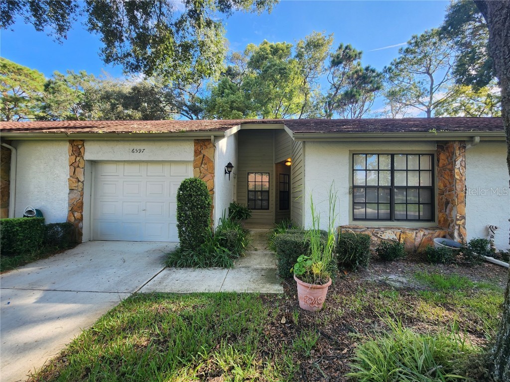 6597 Brambleleaf Drive Spring Hill FL 34606 T3469529 image1