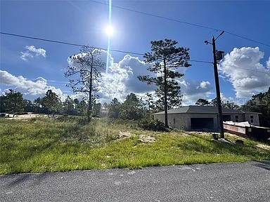 6597 N Grayton Terrace Dunnellon FL 34433 O6381412 image4