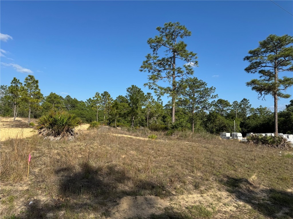 6597 N Grayton Terrace Dunnellon FL 34433 OM702862 image1