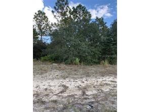 6599 N Airmont Drive Citrus Springs FL 34433 O6177566 image1