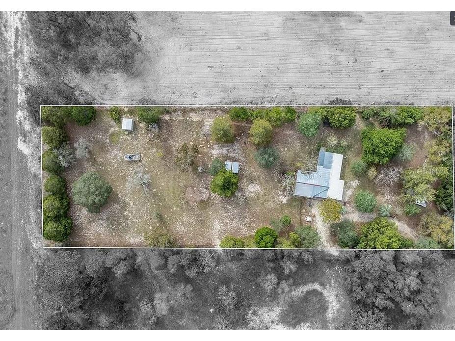 6599 S Pine Meadow Avenue Homosassa FL 34446 J979623 image1