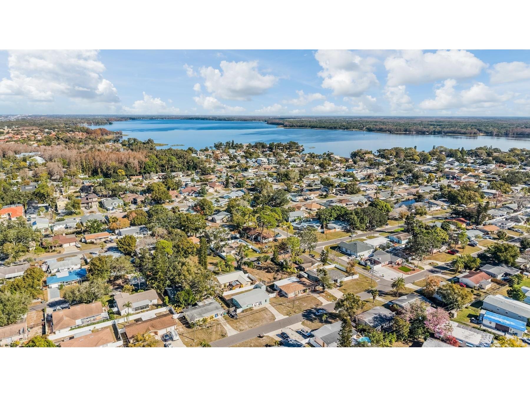 66 Lake Shore Drive Palm Harbor FL 34684 TB8467926 image39