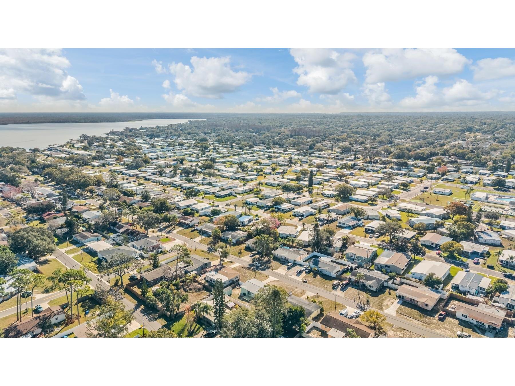 66 Lake Shore Drive Palm Harbor FL 34684 TB8467926 image42