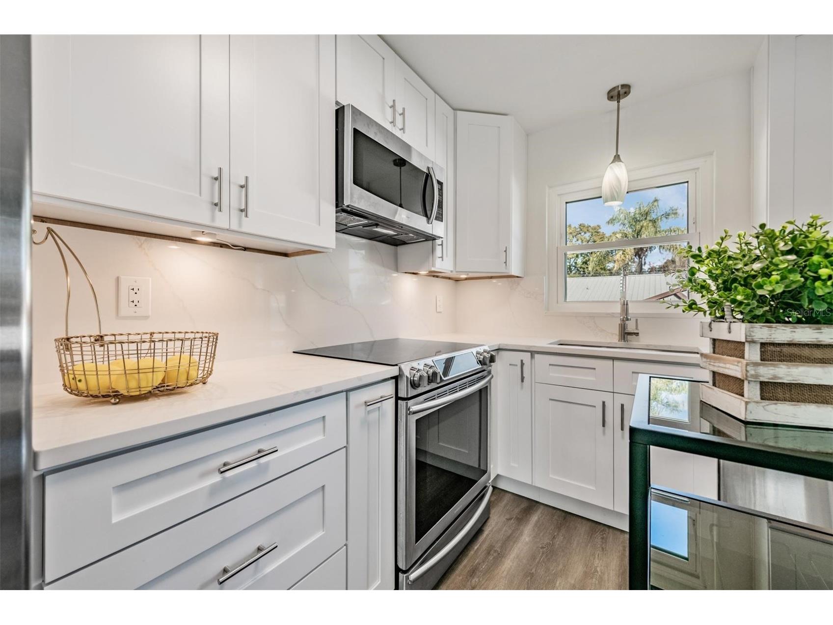 66 Lake Shore Drive Palm Harbor FL 34684 TB8467926 image9